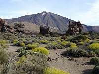 Tenerife Spanje